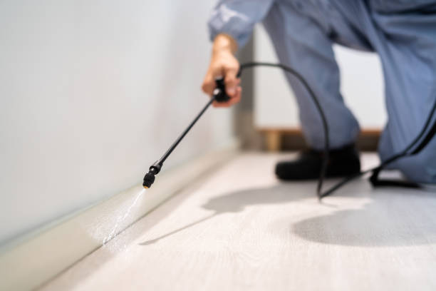 Professional exterminator conducting IPM assessment in Eastport